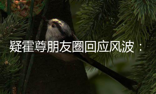 都没我疑霍友圈尊朋真的做回应什么风波